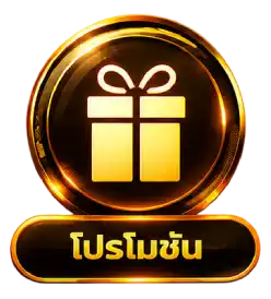 โปรโมชั่น2